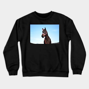 christmas horse photograph Crewneck Sweatshirt